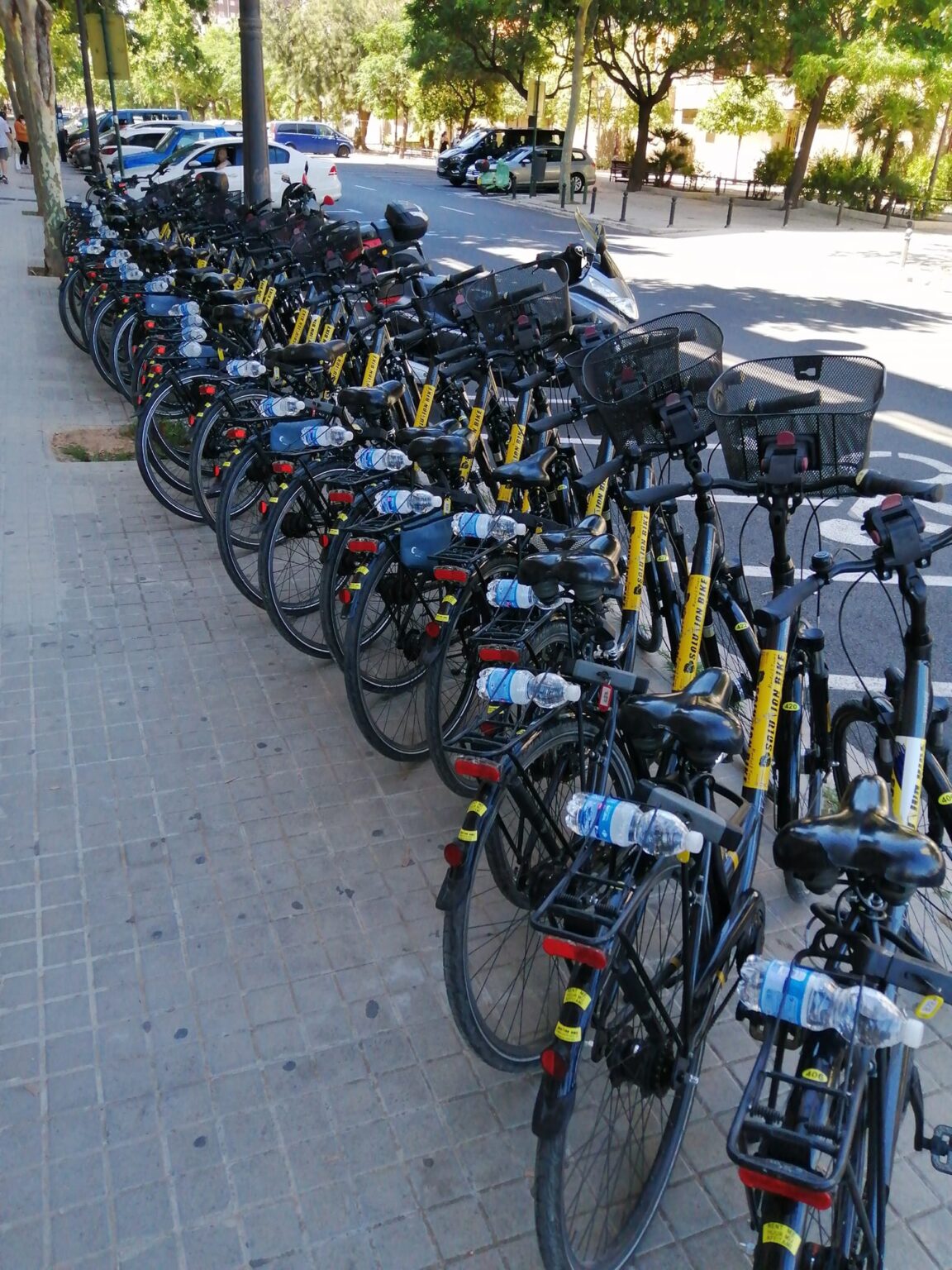 Rutas guiadas personalizadas en bici por el centro histórico de Valencia